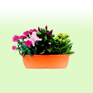 /ext/img/product/bonnes-affaires/25_06_11/500_jardiniere_1.jpg