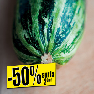 /ext/img/product/bonnes-affaires/25_06_11/500_plants_1.jpg
