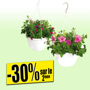 /ext/img/product/bonnes-affaires/25_06_11/500_suspension_1.jpg
