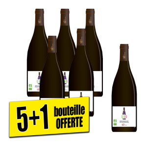 /ext/img/product/bonnes-affaires/25_06_11/700_beaujolais_1.jpg