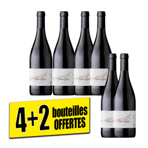 /ext/img/product/bonnes-affaires/25_06_11/700_ventaux_1.jpg