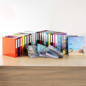 /ext/img/product/bonnes-affaires/25_06_16/100_classeur_1.jpg