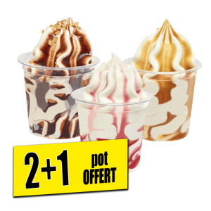 /ext/img/product/bonnes-affaires/25_06_18/100_glace_1.jpg