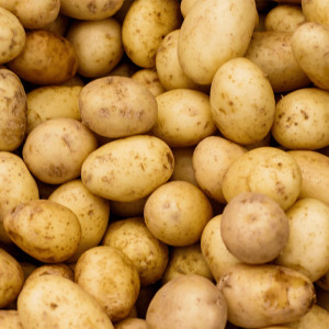 /ext/img/product/bonnes-affaires/25_06_18/100_pommes_1.jpg