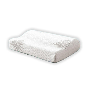 /ext/img/product/bonnes-affaires/25_06_18/300_oreiller_1.jpg