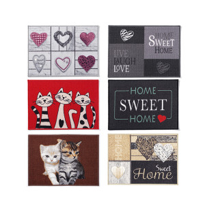 /ext/img/product/bonnes-affaires/25_06_18/300_paillasson_1.jpg