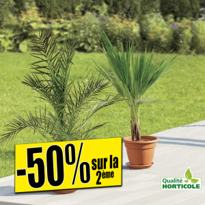 /ext/img/product/bonnes-affaires/25_06_25/400_grands_1.jpg