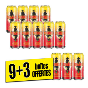 /ext/img/product/bonnes-affaires/25_06_27/100_bierearomatisee_1.jpg