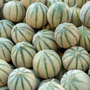 /ext/img/product/bonnes-affaires/25_06_27/100_melons_1.jpg