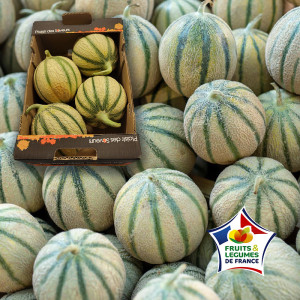 /ext/img/product/bonnes-affaires/25_07_09/1000_melons_1.jpg