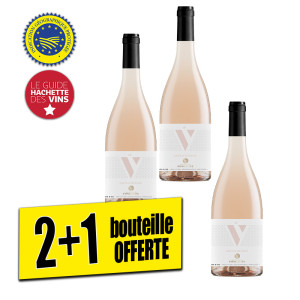 /ext/img/product/bonnes-affaires/25_07_09/100_pays_1.jpg