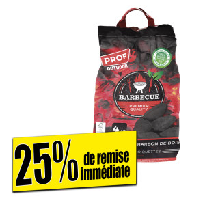 /ext/img/product/bonnes-affaires/25_07_12/200_briquettes_1.jpg