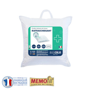 /ext/img/product/bonnes-affaires/25_07_23/600_oreiller_1.jpg