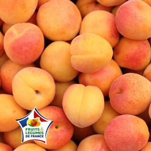 /ext/img/product/bonnes-affaires/25_08_06/200_abricots_1.jpg
