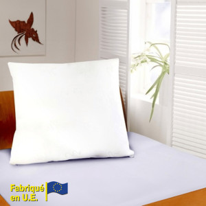 /ext/img/product/bonnes-affaires/25_08_06/300_oreiller_1.jpg