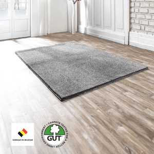 /ext/img/product/bonnes-affaires/25_08_06/300_tapis_1.jpg