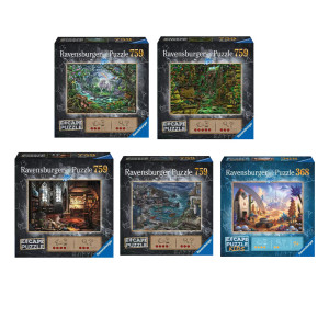 /ext/img/product/bonnes-affaires/25_08_06/700_puzzle_1.jpg
