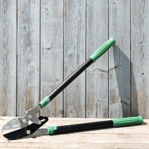 /ext/img/product/bonnes-affaires/25_08_20/300_coupe_1.jpg