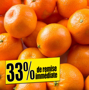 /ext/img/product/bonnes-affaires/25_12_10/200_clementines_1.jpg