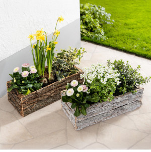 /ext/img/product/bonnes-affaires/26_04_08/100_jardiniere_1.jpg