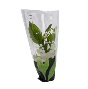 /ext/img/product/bonnes-affaires/26_04_29/400_muguet_1.jpg