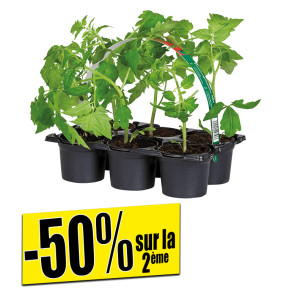 /ext/img/product/bonnes-affaires/26_04_29/400_plants1_1.jpg