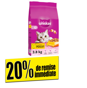 /ext/img/product/bonnes-affaires/26_05_08/100_croquettes_1.jpg