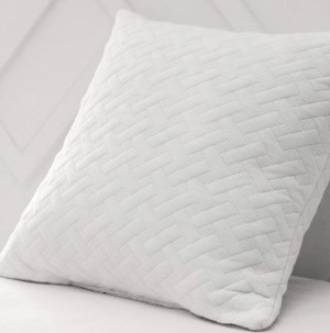 /ext/img/product/bonnes-affaires/26_05_11/100_oreiller1_1.jpg