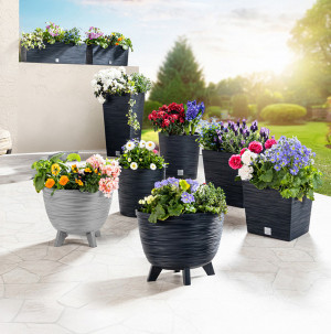 /ext/img/product/bonnes-affaires/26_05_12/100_pot_1.jpg