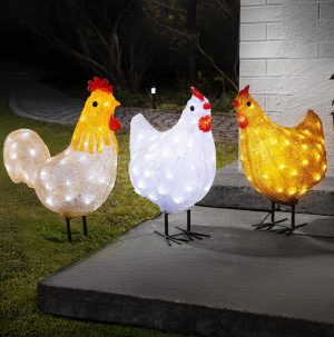 /ext/img/product/bonnes-affaires/26_05_12/100_poule_1.jpg