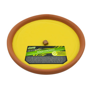/ext/img/product/bonnes-affaires/26_05_12/700_bougie_1.jpg