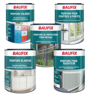 /ext/img/product/bonnes-affaires/26_05_20/100_peinture3_1.jpg