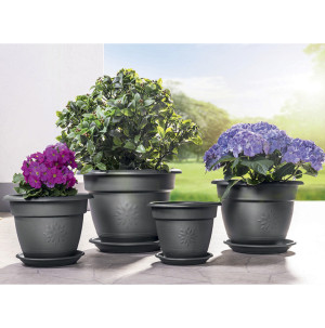 /ext/img/product/bonnes-affaires/26_05_20/500_pots_1.jpg