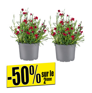 /ext/img/product/bonnes-affaires/26_05_20/600_assortiment_1.jpg