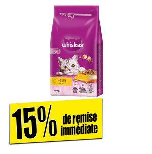 /ext/img/product/bonnes-affaires/26_05_22/100_croquettes_1.jpg