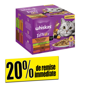 /ext/img/product/bonnes-affaires/26_05_22/100_patees_1.jpg