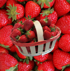/ext/img/product/bonnes-affaires/26_05_27/200_fraises_1.jpg