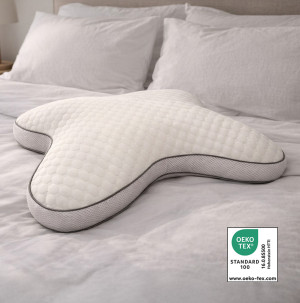 /ext/img/product/bonnes-affaires/26_05_27/300_oreiller1_1.jpg