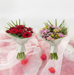 /ext/img/product/bonnes-affaires/26_05_29/100_bouquet1_1.jpg