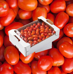 /ext/img/product/bonnes-affaires/26_05_29/100_tomates_1.jpg