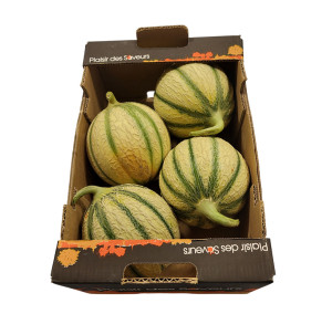 /ext/img/product/bonnes-affaires/26_06_03/200_melons_1.jpg