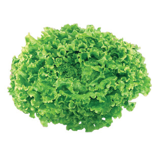 /ext/img/product/bonnes-affaires/26_06_03/200_salade_1.jpg
