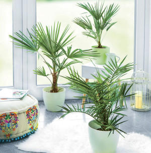 /ext/img/product/bonnes-affaires/26_06_03/500_grands_1.jpg