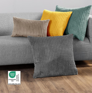 /ext/img/product/bonnes-affaires/26_06_08/100_coussin_1.jpg