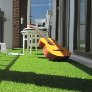 /ext/img/product/bonnes-affaires/26_06_10/100_gazon1_1.jpg