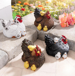 /ext/img/product/bonnes-affaires/26_06_10/100_poule_1.jpg