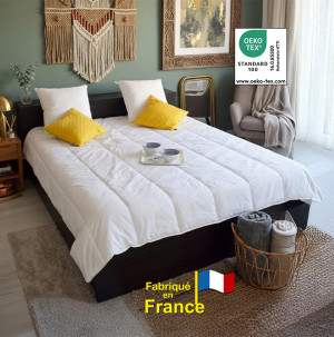 /ext/img/product/bonnes-affaires/26_06_17/100_couette_1.jpg