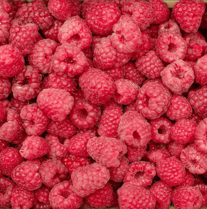 /ext/img/product/bonnes-affaires/26_06_17/200_framboises_1.jpg