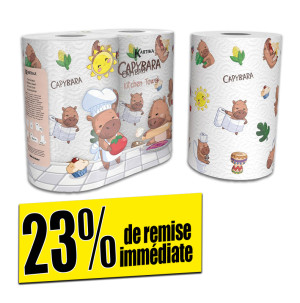 /ext/img/product/bonnes-affaires/26_06_17/700_essuie1_1.jpg