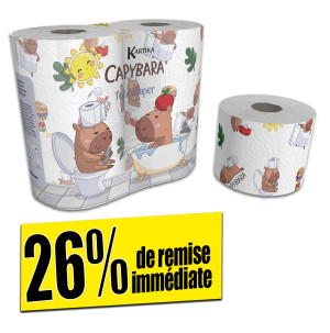 /ext/img/product/bonnes-affaires/26_06_17/700_papier_1.jpg